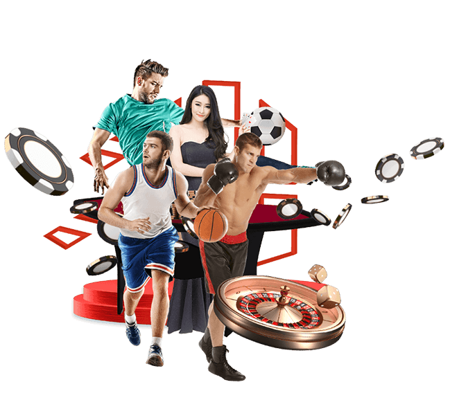 亚冠追随者